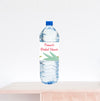 Succulent Bridal Shower Water Bottle Label