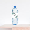 Teal Succulent Water Bottle Label with Date